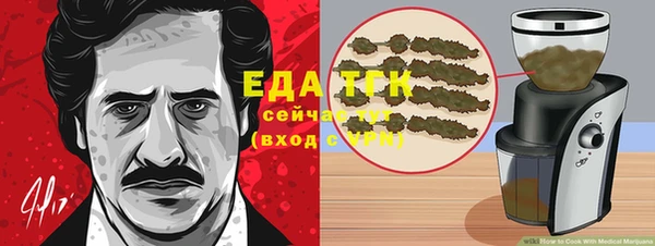 индика Приозерск