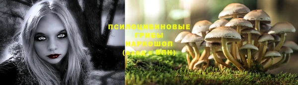 spice Пролетарск