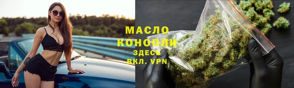 индика Приозерск