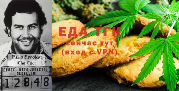 индика Приозерск