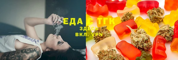 индика Приозерск