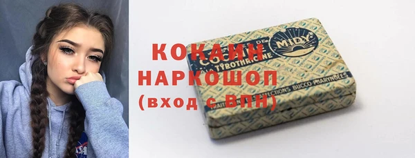 индика Приозерск
