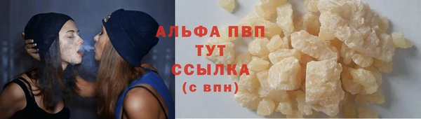 индика Приозерск