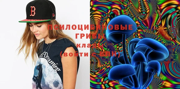индика Приозерск
