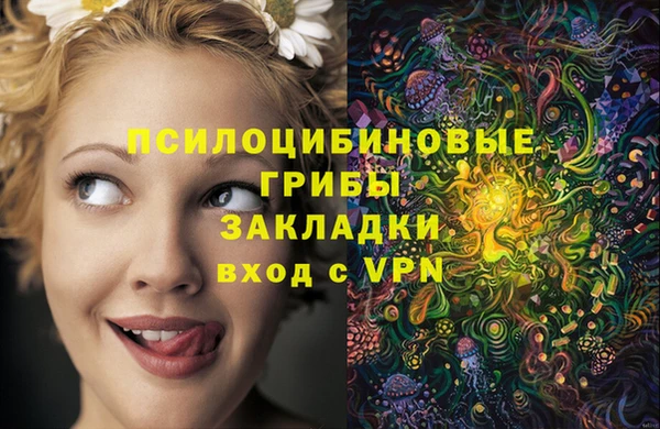 спайс Протвино