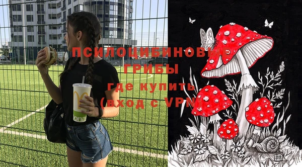 индика Приозерск