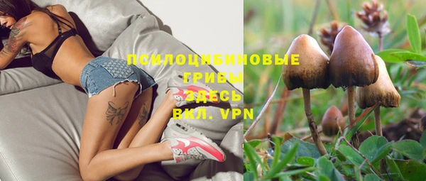 spice Пролетарск