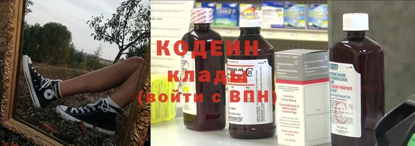 индика Приозерск