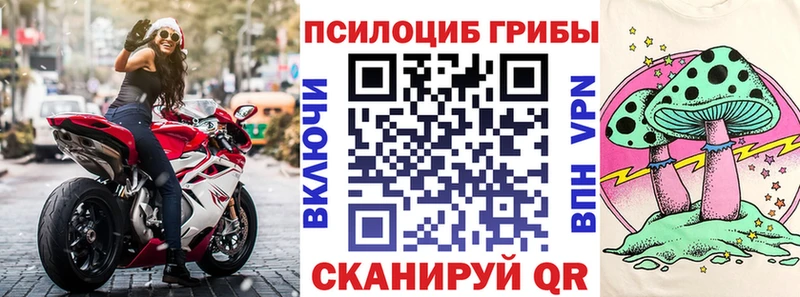 Галлюциногенные грибы Psilocybe  Спасск-Дальний 