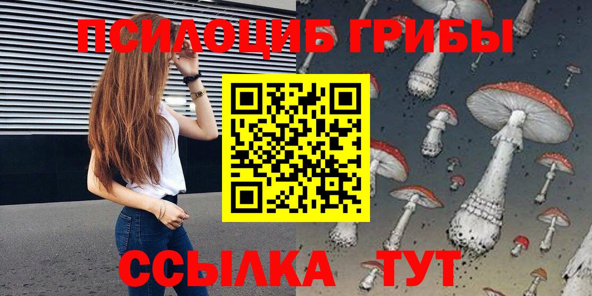 Галлюциногенные грибы Psilocybine cubensis  Спасск-Дальний 