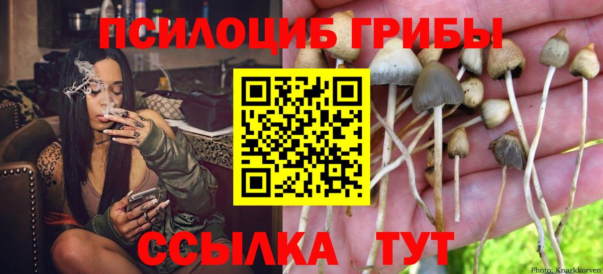 Псилоцибиновые грибы мухоморы  где можно купить наркотик  Спасск-Дальний  Галлюциногенные грибы прущие грибы  Вход с VPN 