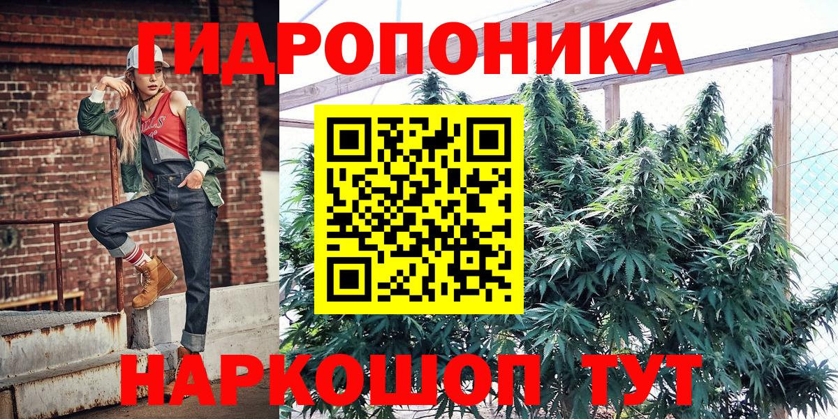 Канабис конопля Спасск-Дальний